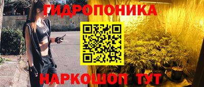 прущие грибы Чебаркуль
