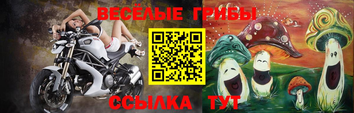 Псилоцибиновые грибы ЛСД  дарнет шоп  Алейск  Галлюциногенные грибы мицелий  Вход с VPN 