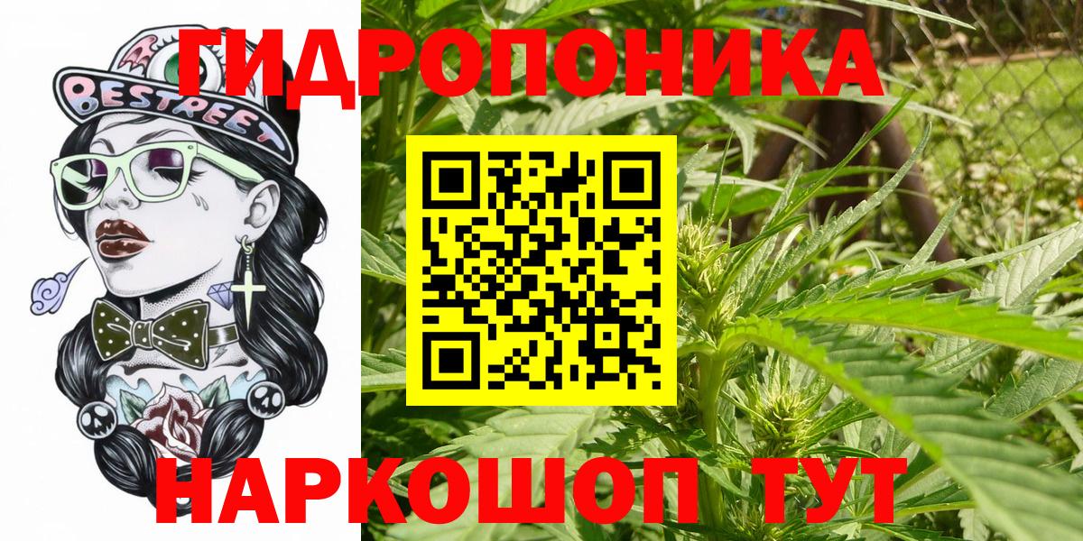 Каннабис OG Kush  Конопля LSD WEED  Канабис LSD WEED  Конопля White Widow  Алейск  Вход с VPN 